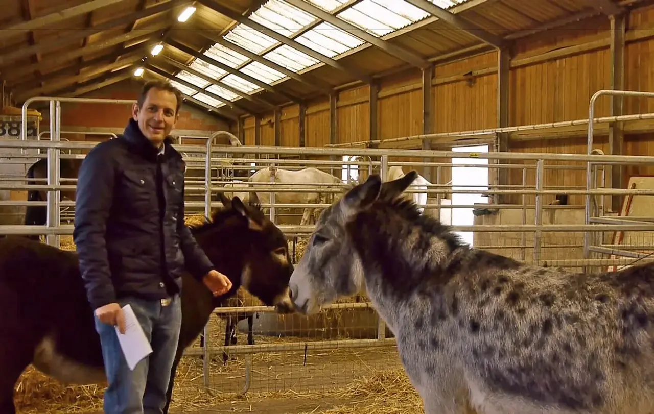 Diesen „Sonntagsimpuls“ hat Jonas Dietz in einem Eselstall gefilmt.