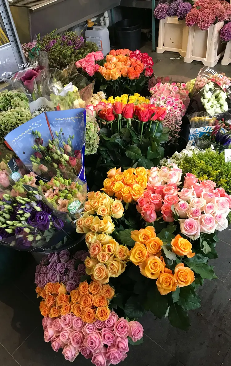 „Manche Wünsche sind technisch gar nicht zu erfüllen“, weiß Marilisa Sonnabend jetzt. Durch die große Vielfalt an Blumen und Pflanzen kann aber fast jeder Wunsch erfüllt werden.