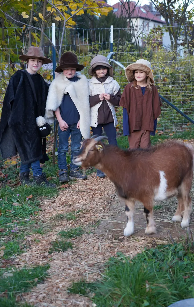 Die Ziegen mussten für ihre Mitwirkung bestochen werden.