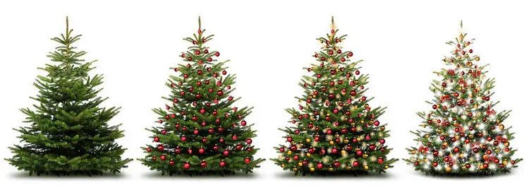 Mit viel Schmuck und Licht wird aus dem Tannenbaum ein Weihnachtsbaum.