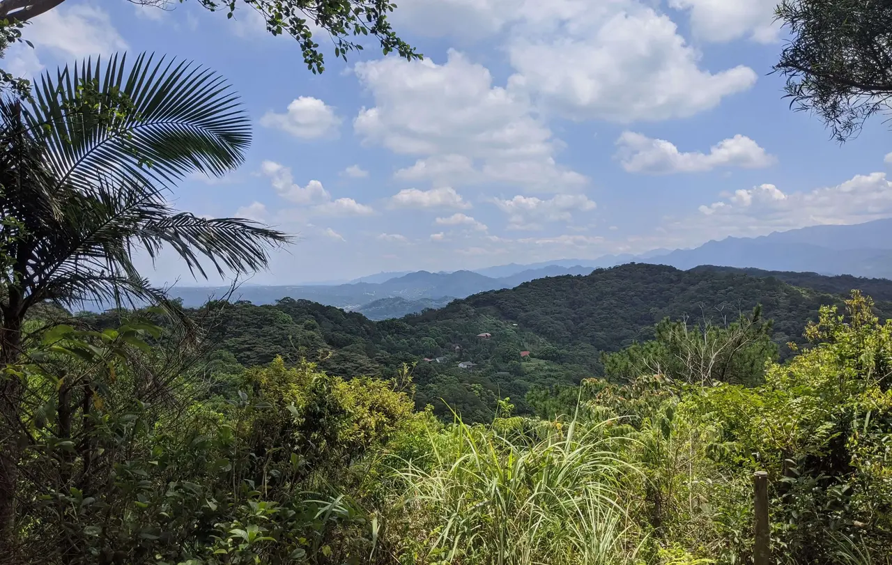 Subtropischer Bergdschungel in Taiwan.