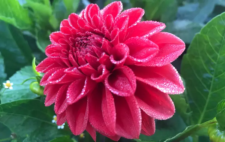 Der Blick fürs Detail, erzählt Sonnabend, hat sich während des Praktikums verändert.