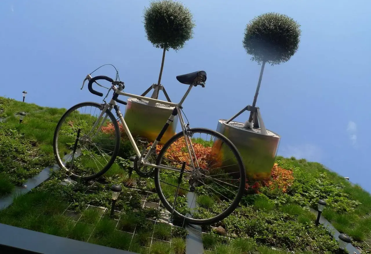 Perspektivwechsel in Wittenberg. Die Graviplants von unten.