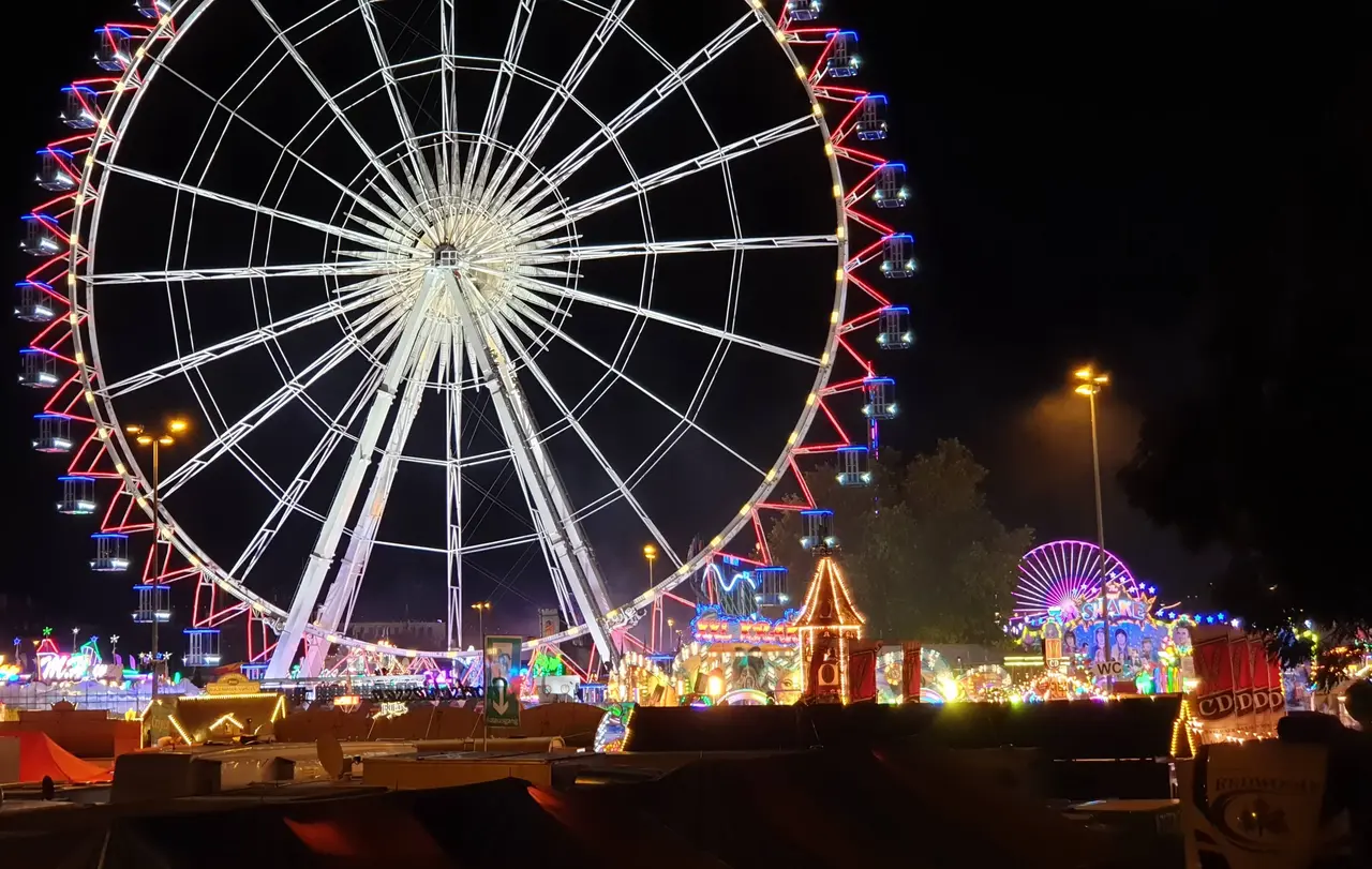 Der Wasen, so wie er Millionen bekannt ist: Bunte und grell erleuchtete Fahrgeschäfte prägen die Silhouette des zweitgrößten Volksfestes Deutschlands.