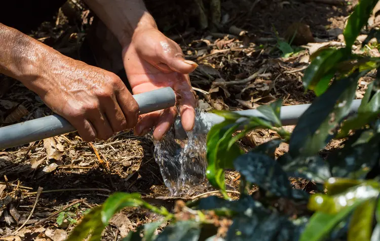 Alle Menschen haben ein Recht auf Wasser. Davon ist Brot für die Welt überzeugt.