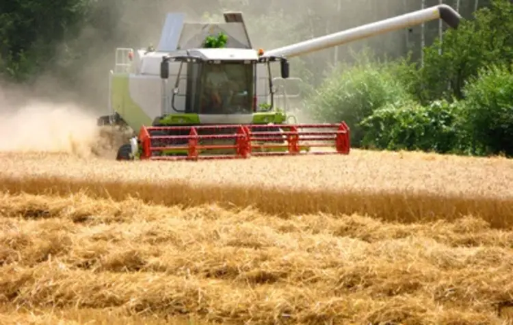 Mähdrescher im Einsatz