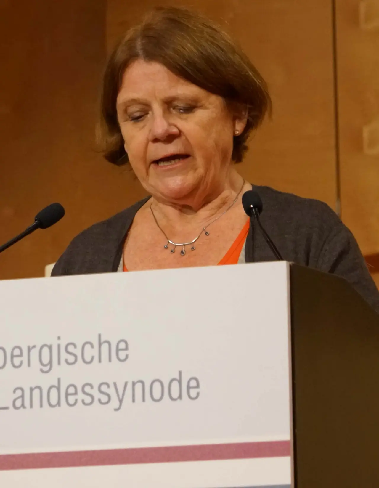 Annette Sawade, Vorsitzende des Ausschusses Kirche, Gesellschaft, Öffentlichkeit und Bewahrung der Schöpfung