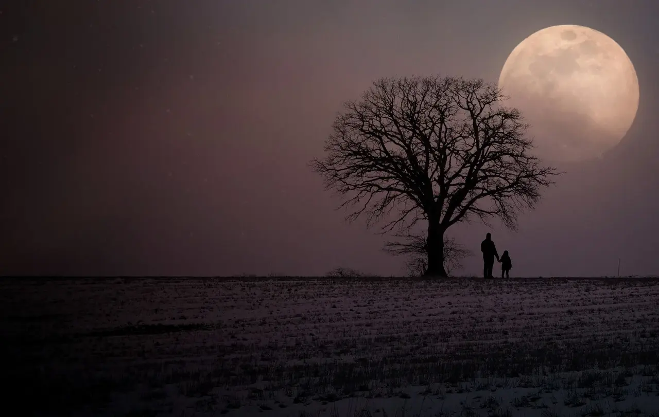 Weihnachten kann mit die schwerste Zeit im Jahr werden - Einsamkeit oder Trauer machen gerade zum Fest vielen Menschen zu schaffen (Symbolbild).