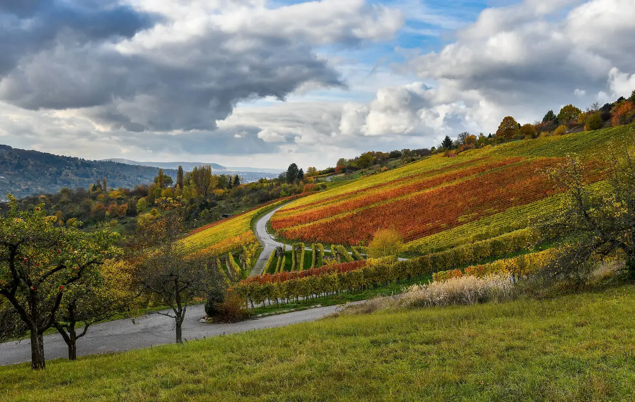 Pilgern im Remstal. Zu allen Jahreszeiten schön.
