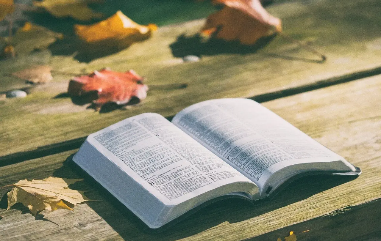 Verantwortungsvoll zu wirtschaften ist ein zentraler Gedanke der Schöpfungsgeschichte, erklärt Pfarrer Dr. Jörg Schneider.