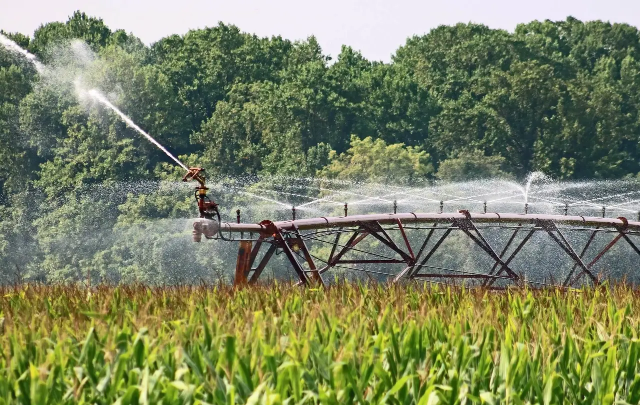 Für die Produktion vieler Lebensmittel und Konsumgüter braucht man viel Wasser.