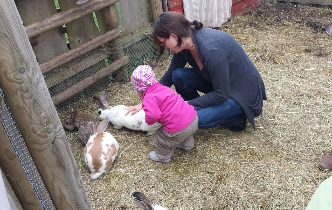 Auch einen Streichelzoo gibt's in Tieringen.