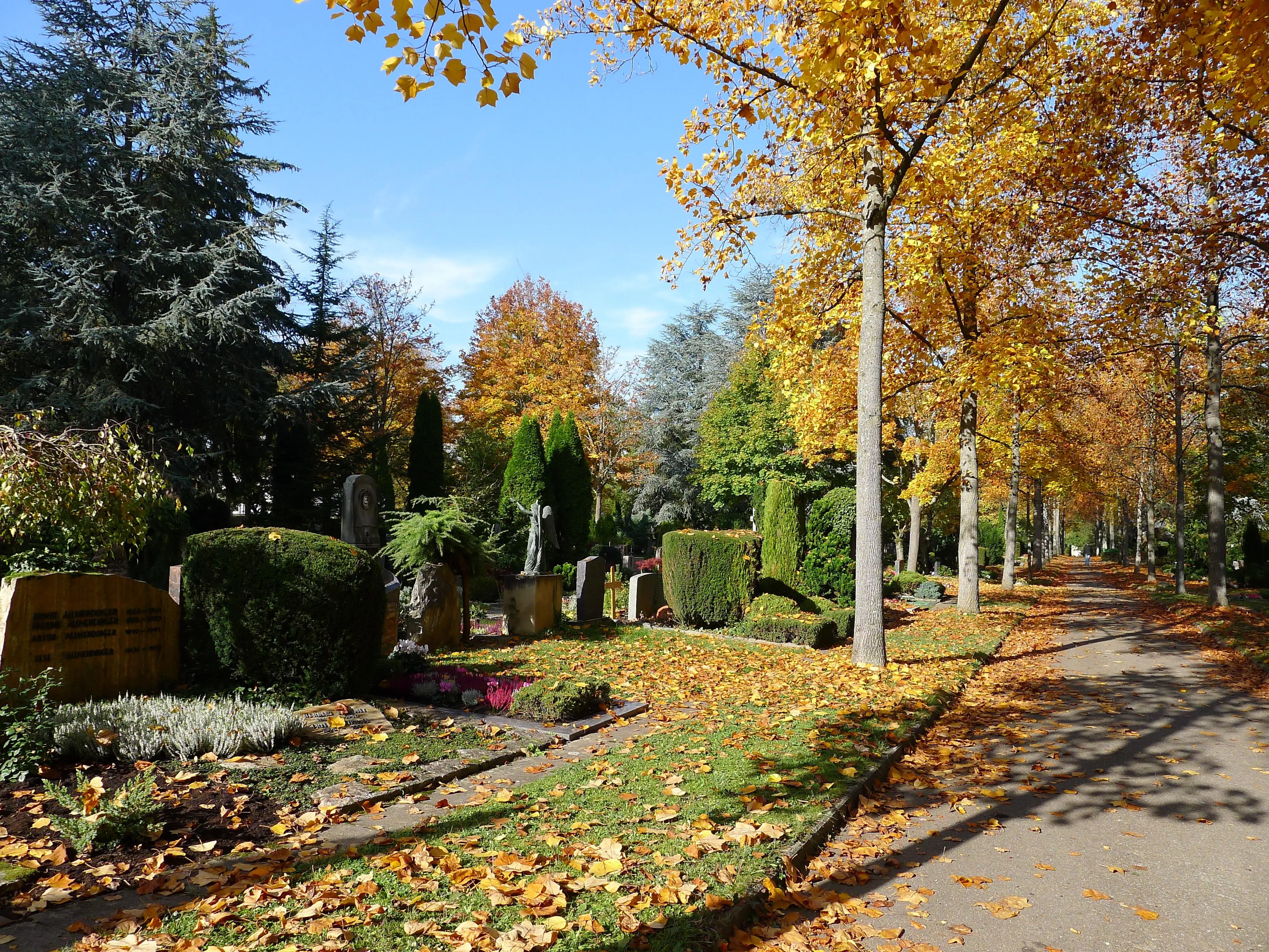 Die Blätter auf dem Heilbronner Hauptfriedhof sind bunt gefärbt. Die Sonnenstrahlen fallen glitzernd auf den Boden.