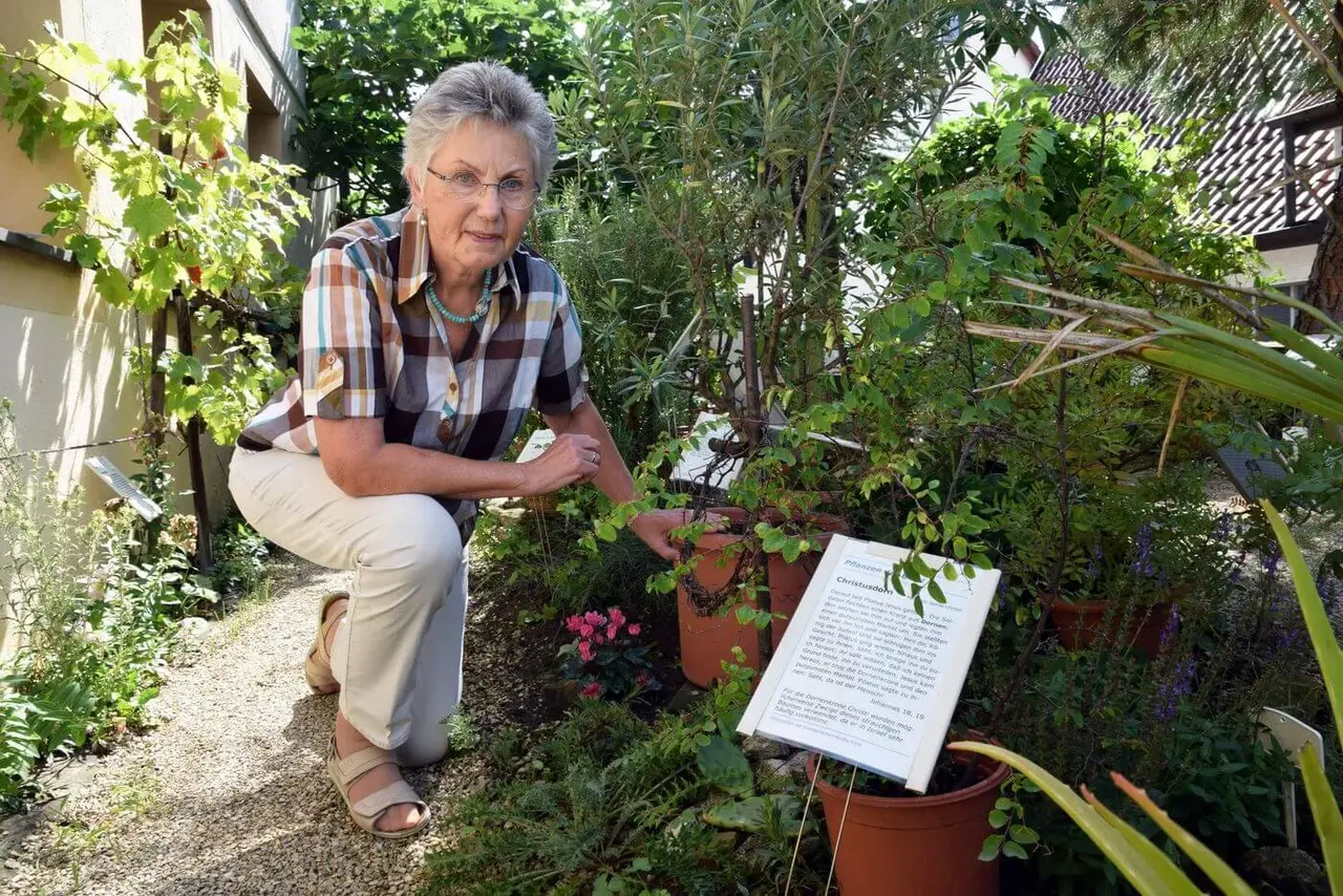 Christa Hahn ist stolz auf den kleinen Bibelgarten. Zusammen mit anderen Ehrenamtlichen hat sie ihn angelegt.