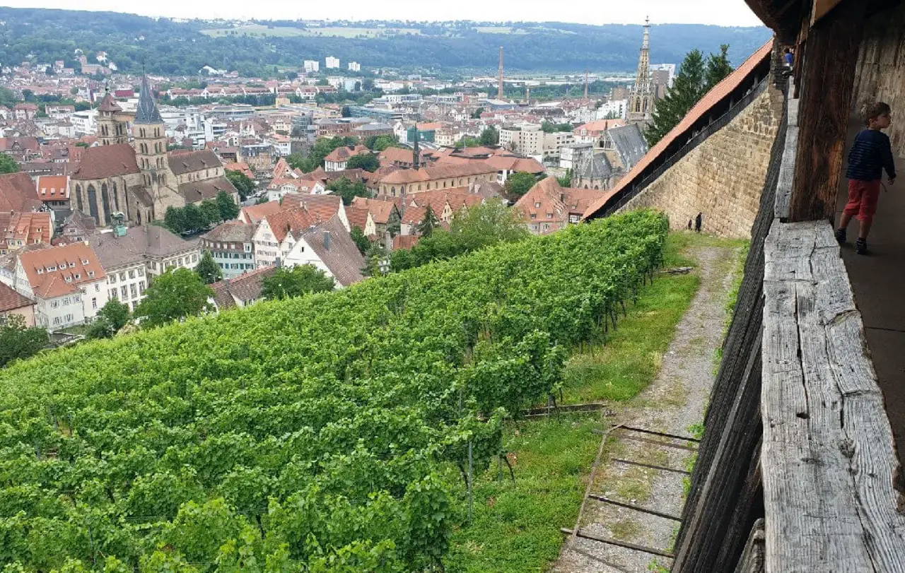 Blick von der Burg auf die Esslinger Innenstadt.