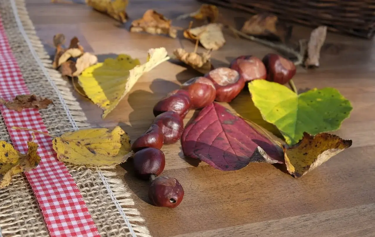 Die Tischdekoration kann aus Naturmaterialien bestehen.