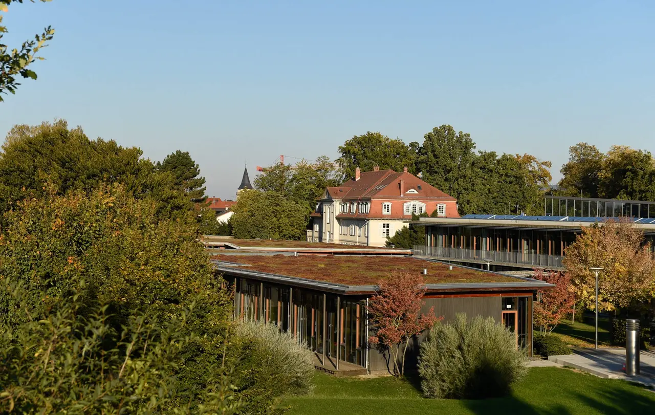 Das Evangelische Lichtenstern-Gymnasium in Sachsenheim.