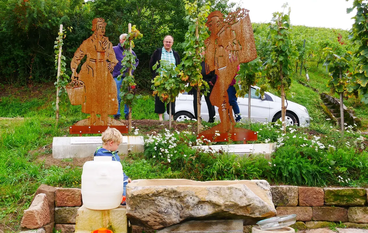 "Es ist das Beste, was man in Corona-Zeiten machen kann", sagt Pfarrer Rainer Koepf über den biblischen Weinawanderweg.